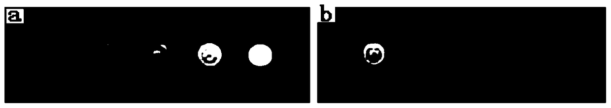 A kind of t1-t2 dual-mode mri contrast agent and its preparation method and application