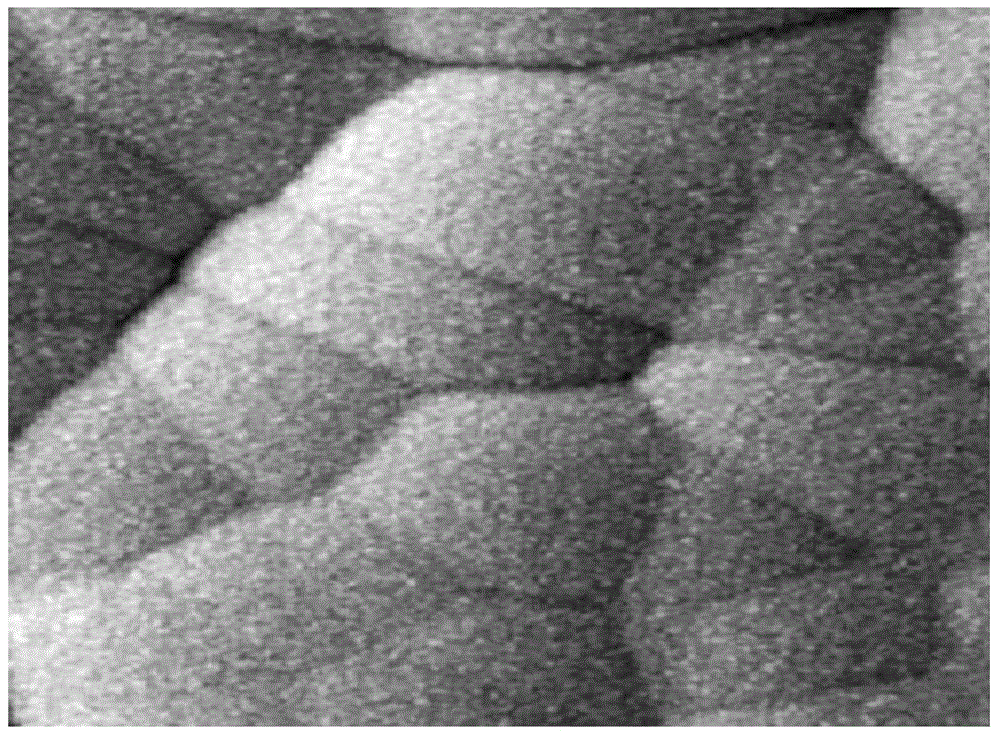 Manufacturing method of chemical nickel palladium gold plating plated with thick palladium