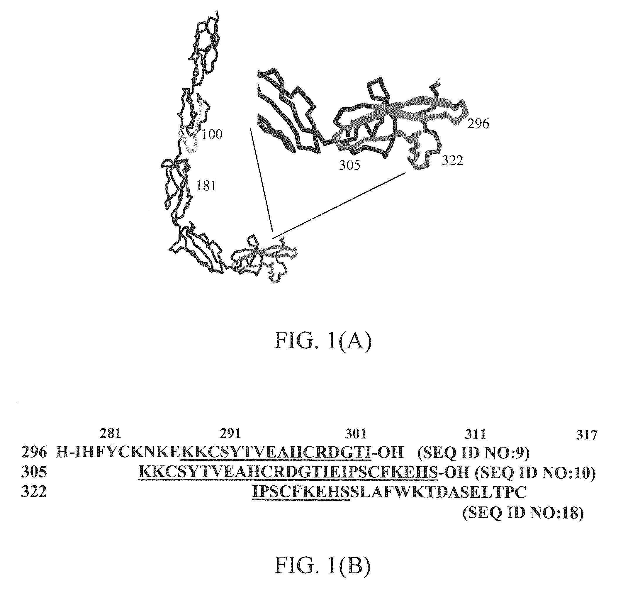 β2-glycoprotein I peptide inhibitors