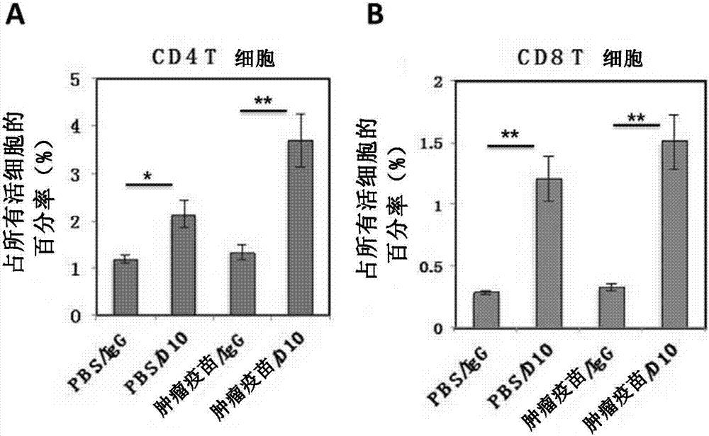 Composition containing low-dose antibodies blocking VEGF (vascular endothelial growth factor) signaling pathway and application of composition