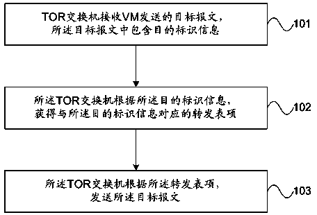 Message processing method and device based on network virtualization