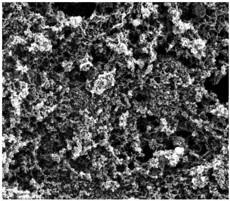 Porous carbon material, preparation method and application thereof