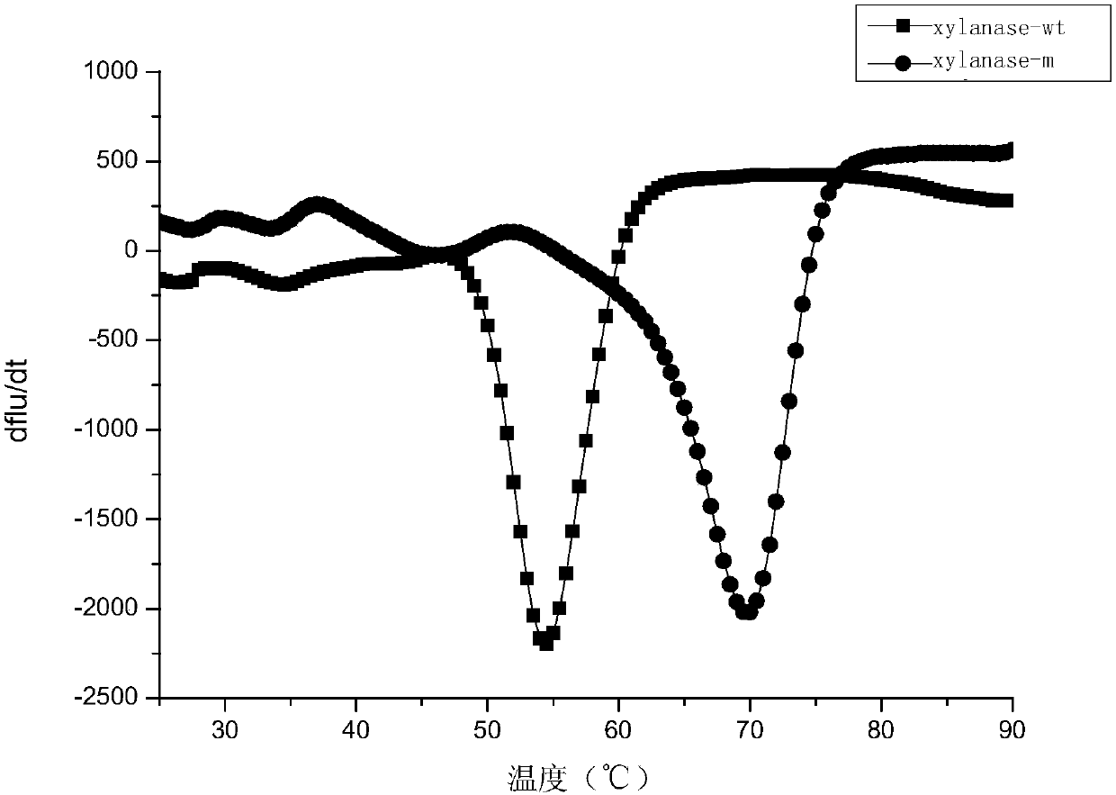 Xylanase-m with high heat stability and its coding gene and application thereof