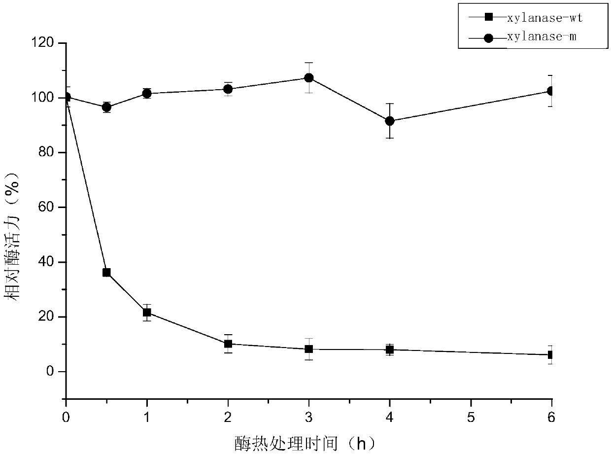 Xylanase-m with high heat stability and its coding gene and application thereof