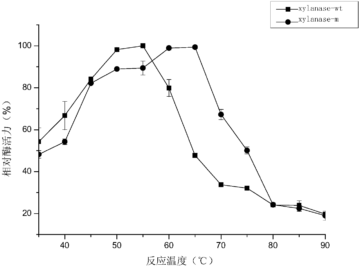 Xylanase-m with high heat stability and its coding gene and application thereof