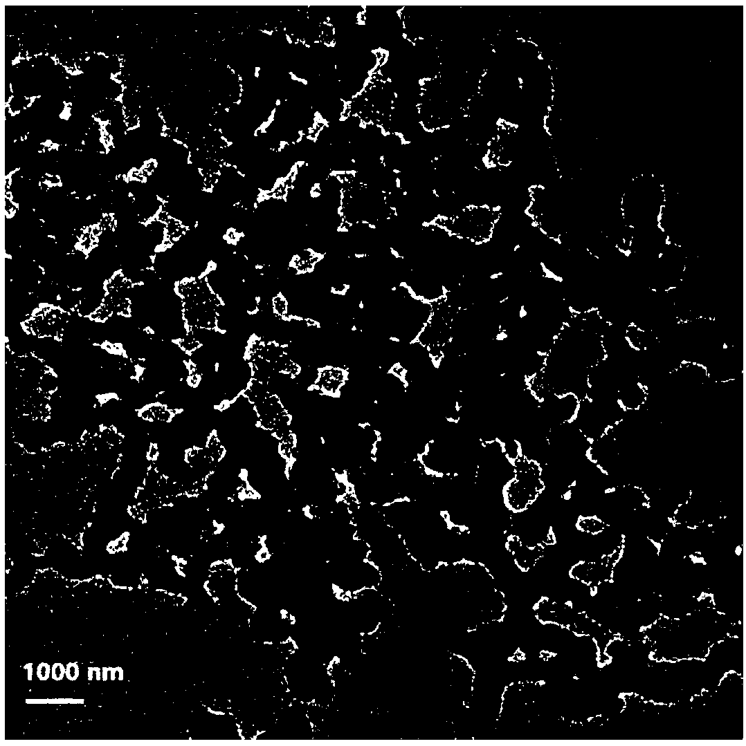 Composite nanoparticles of polymer coated curcumin eutectic/synergistic components, and preparation and application thereof in pharmacy