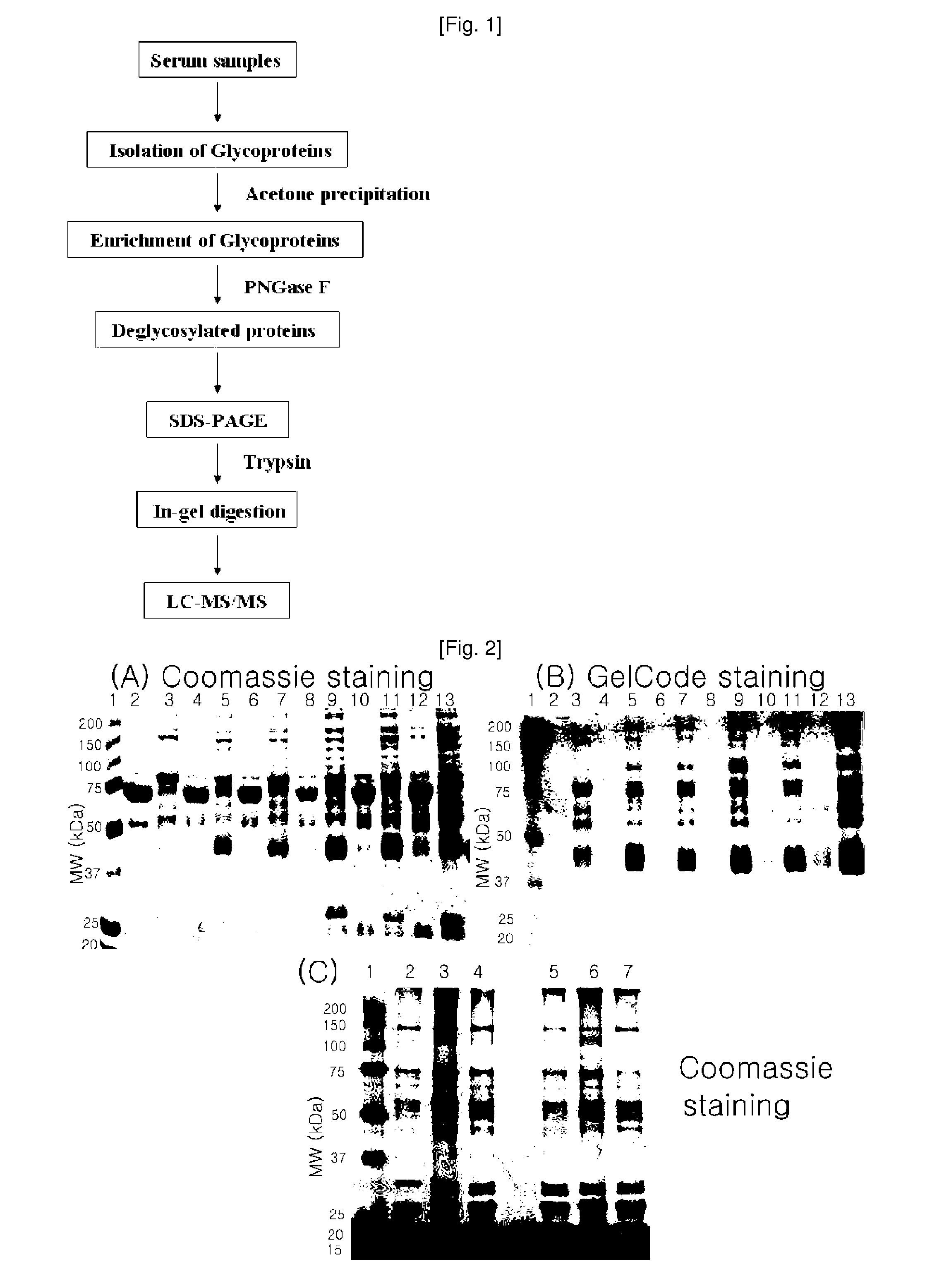 Plasma kallikrein fragments as diagnostic biomarkers for lung cancers