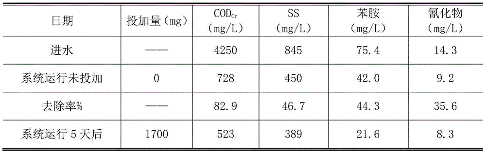 Printing and dyeing wastewater biological treatment accelerant, as well as preparation method and application thereof