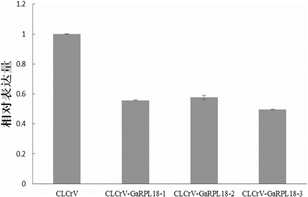 Anti-verticillium-wilt associated protein GaRPL18 of cotton and encoding gene and application thereof