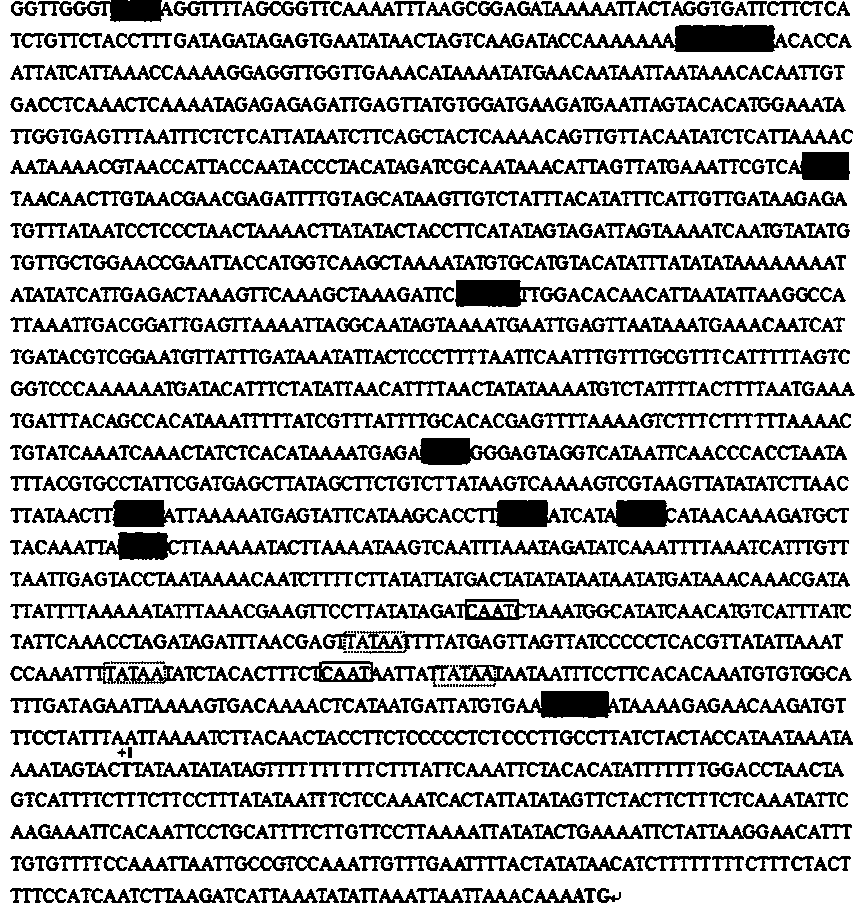 Promoter with anther tissue specificity