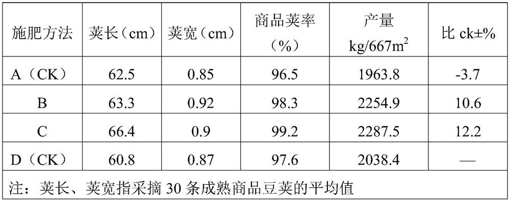 Autumn cultivation method of asparagus bean