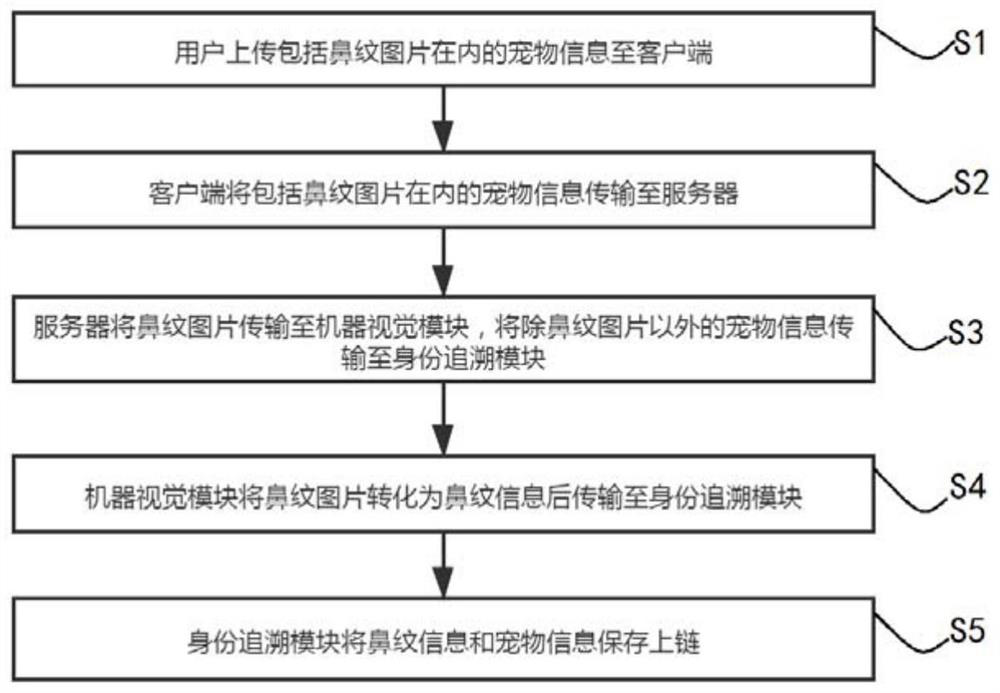 Animal identity management method and system based on blockchain