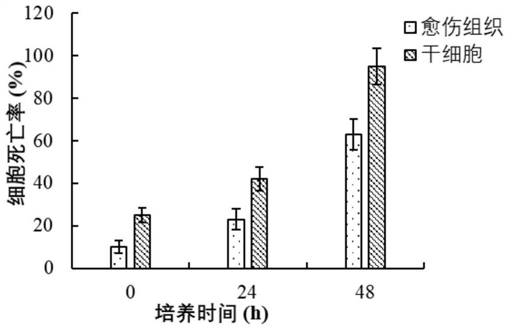 Induction and in-vitro culture method of plant stem cells derived from apical meristem of catharanthus roseus roots