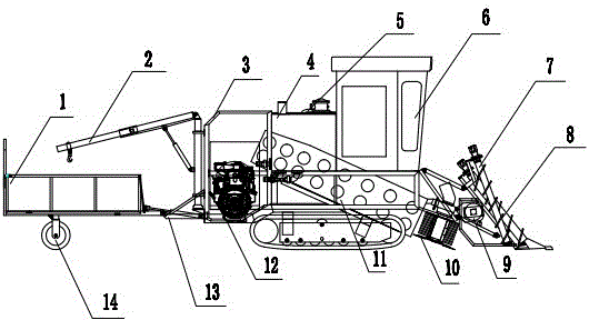 Sugarcane harvester