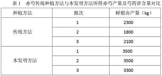 Planting method for radix paeoniae rubra