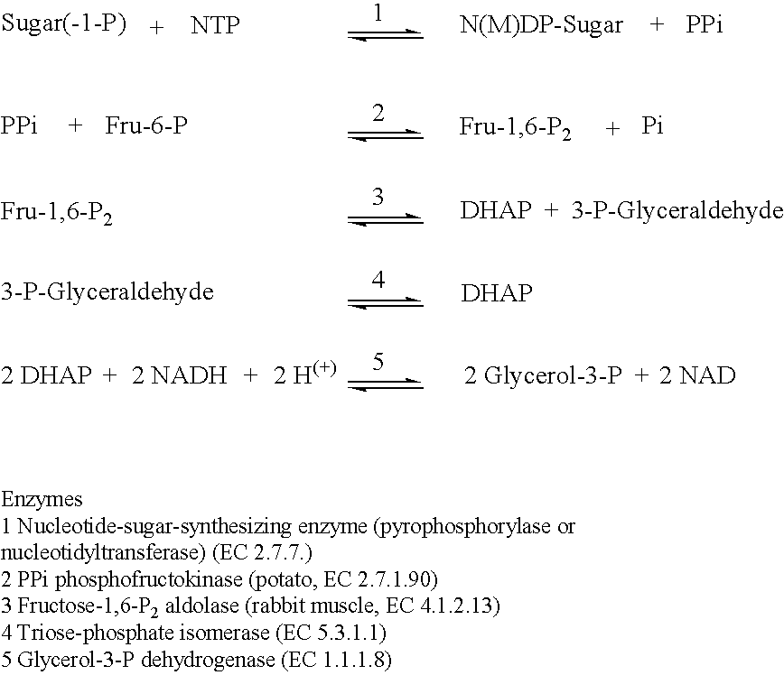 Nucleotide-sugar-synthesizing enzymes from nonparasitic protists