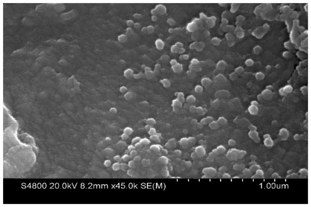 Preparation method and application of supported double-doped modified titanium dioxide photocatalyst