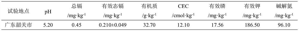 A high-efficiency passivation repair method for heavy metal cadmium pollution in moderately severe rice fields