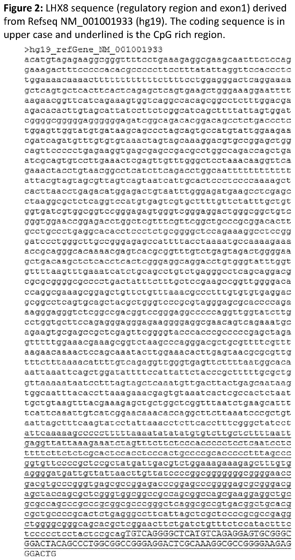 Methylation classifier for detection of hpv-induced invasive cancers, nonhpv-induced gynaecological and anogenital cancers and their high-grade precursor lesions