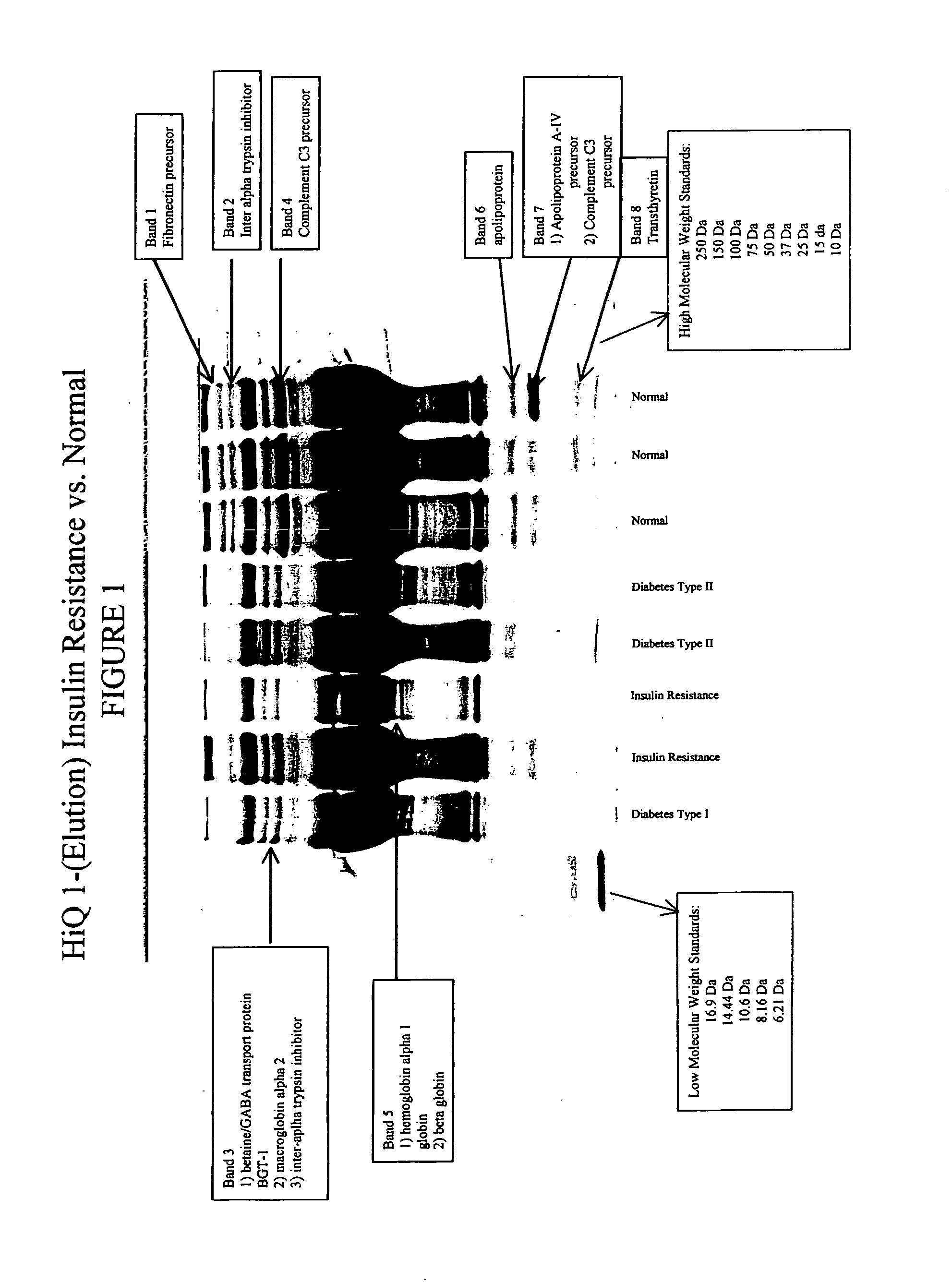 Protein biopolymer markers indicative of insulin resistance