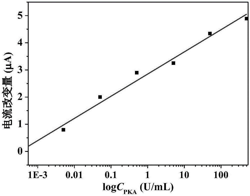 Method for measuring activity of protein kinase and method for measuring activity of protein kinase inhibitor