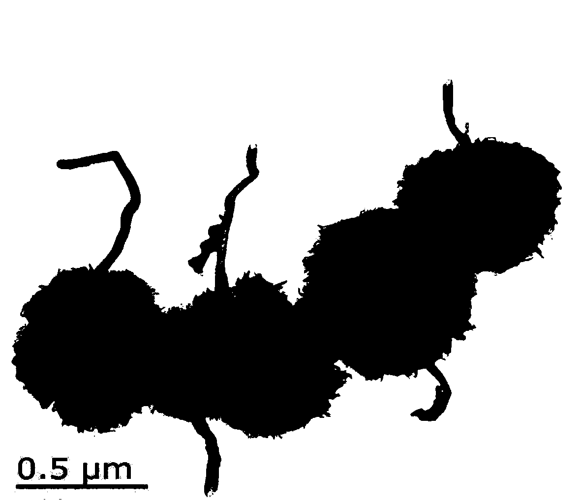 Composite material photocatalyst for modifying by utilizing carbon dots, and preparation method and application of photocatalyst