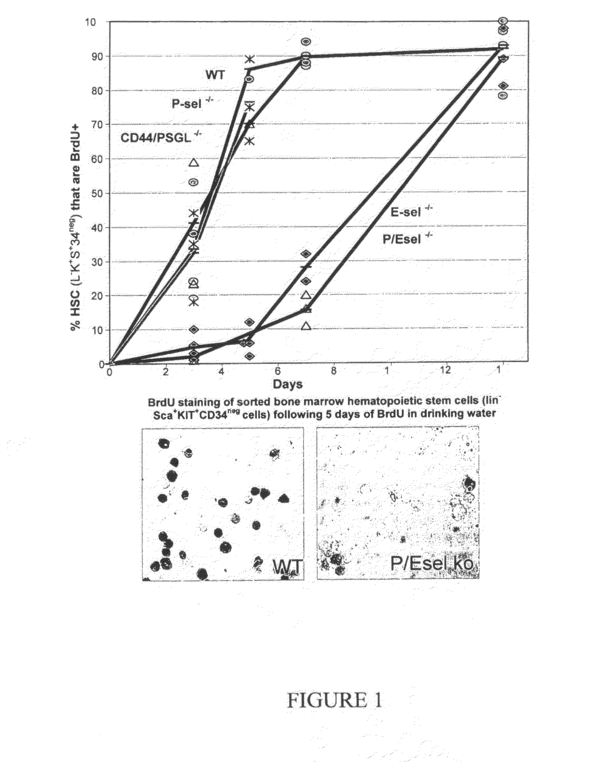 Treatment and prophylaxis