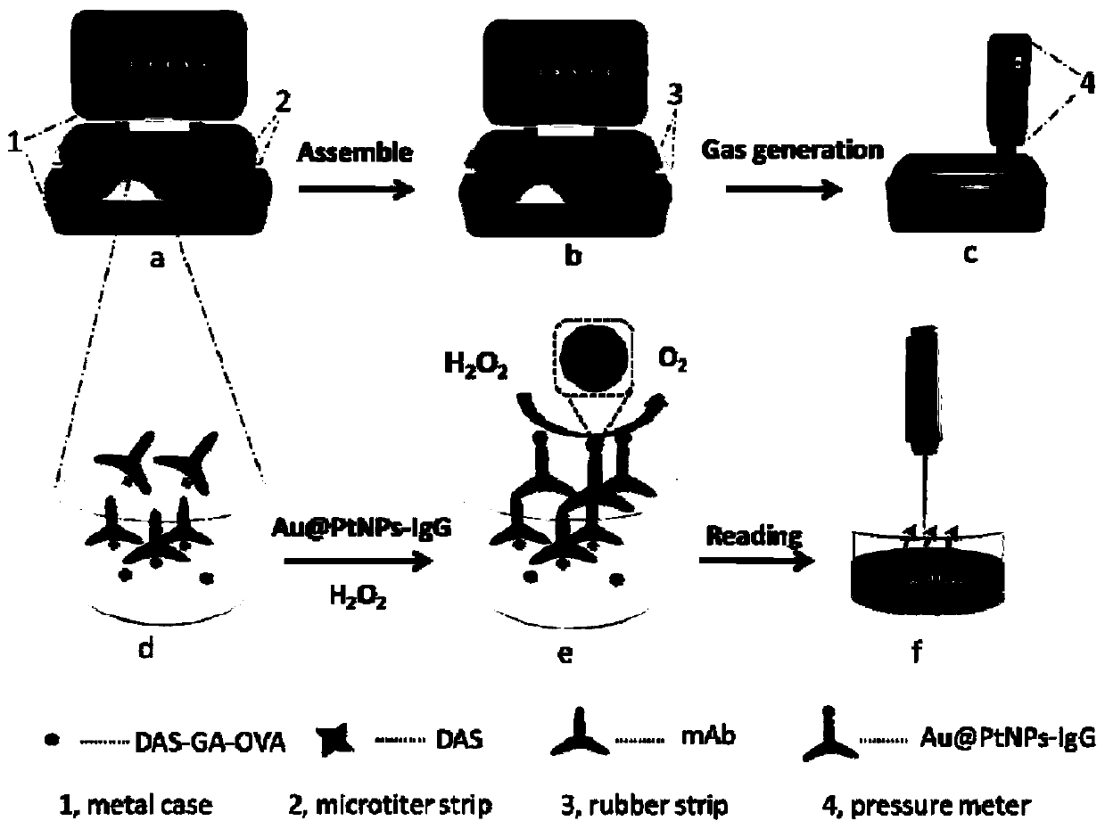 Diacetoxyscirpenol competitive air pressure immunosensor and detection method