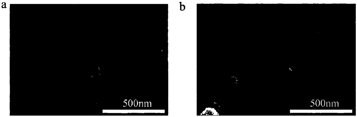 Preparation method and application of indocyanine green polymer nano particles