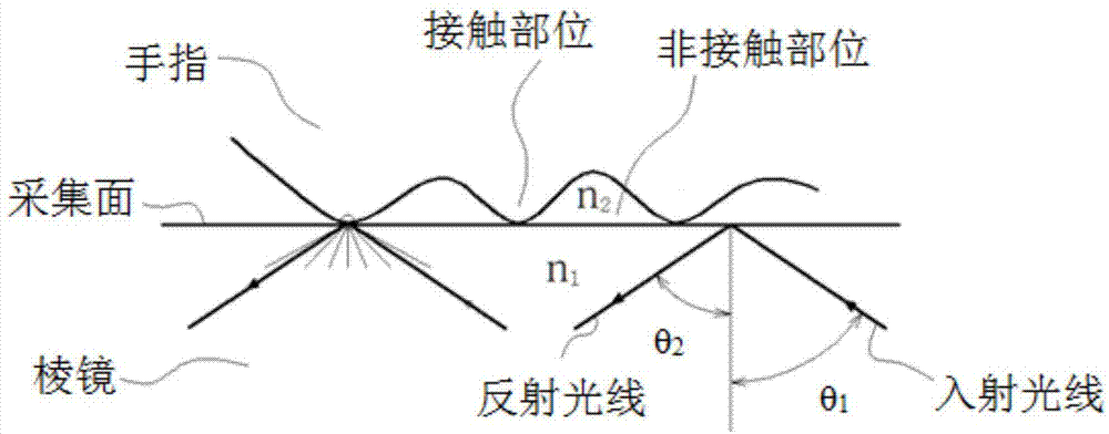 Finger and palm print imaging system