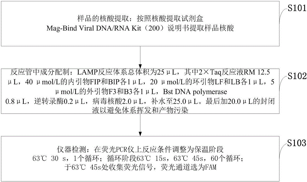 Fluorescent LAMP primer used for detecting vesicular stomatitis virus and detecting method