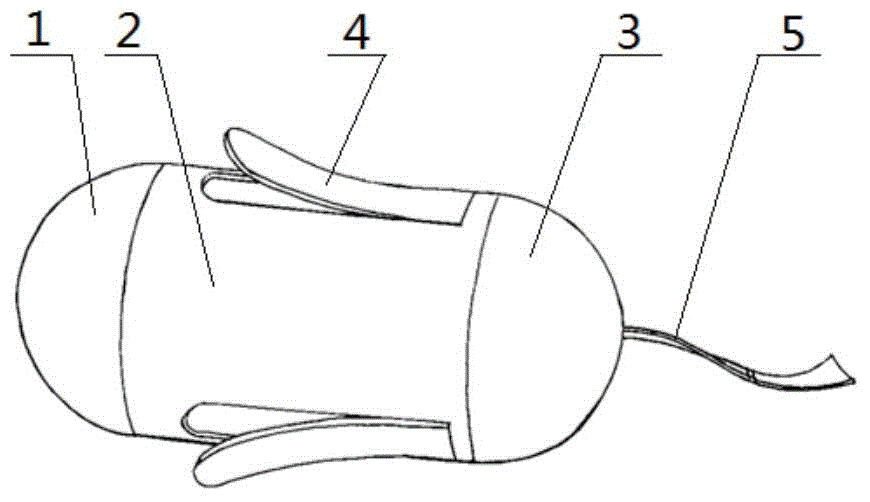 Capsule endoscope based on IPMC (ionic polymer metal composite) driving and driving method thereof