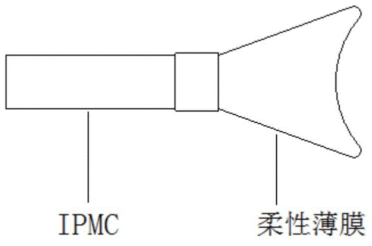 Capsule endoscope based on IPMC (ionic polymer metal composite) driving and driving method thereof