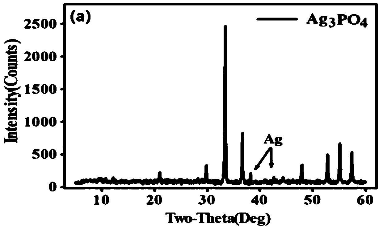 Method for preparing water body phosphate oxygen isotope sample through in-situ enrichment