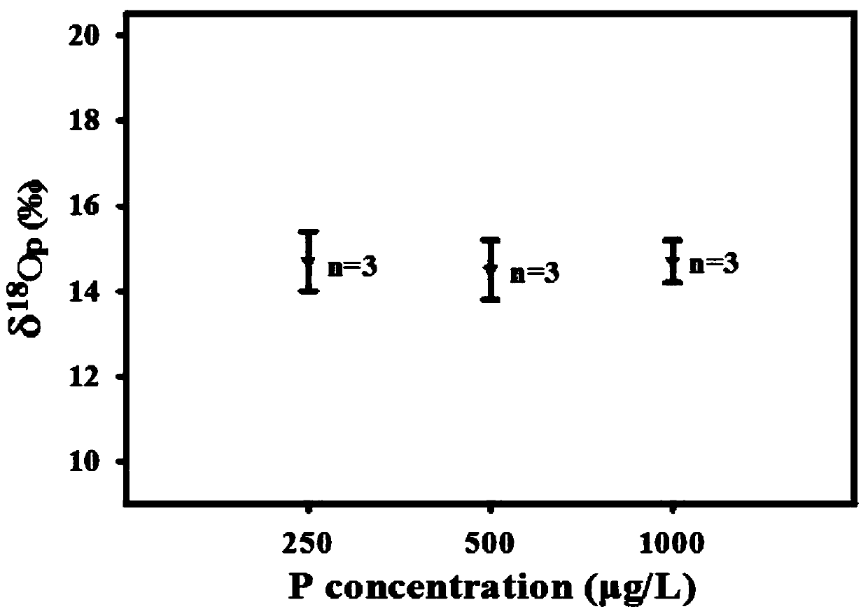 Method for preparing water body phosphate oxygen isotope sample through in-situ enrichment