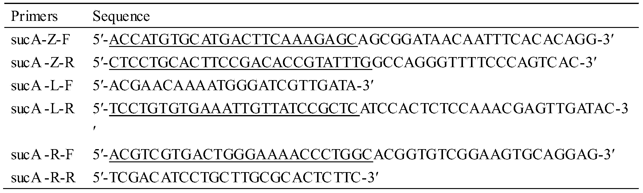 Method for increasing yield of alpha-oxoglutarate produced through whole-cell transformation