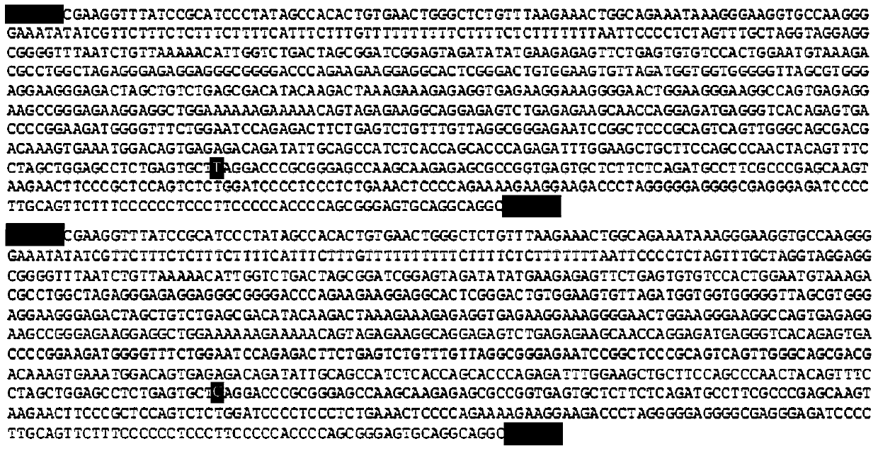 Genetic markers of susceptibility to electromagnetic radiation