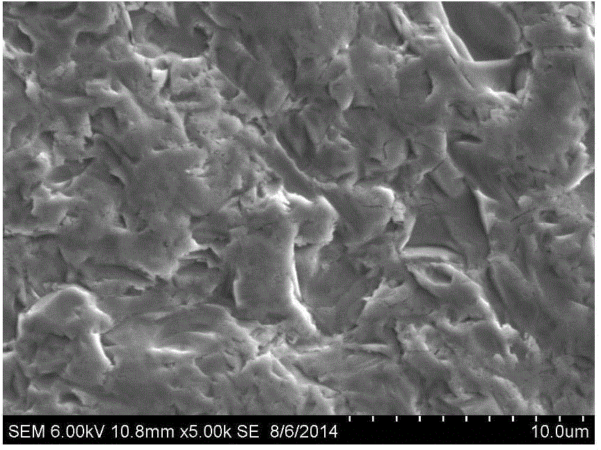 Texturing pretreatment liquid and texturing pretreatment method for diamond wire cutting polycrystalline silicon sheet, texturing pretreatment silicon sheet and application of texturing pretreatment silicon sheet