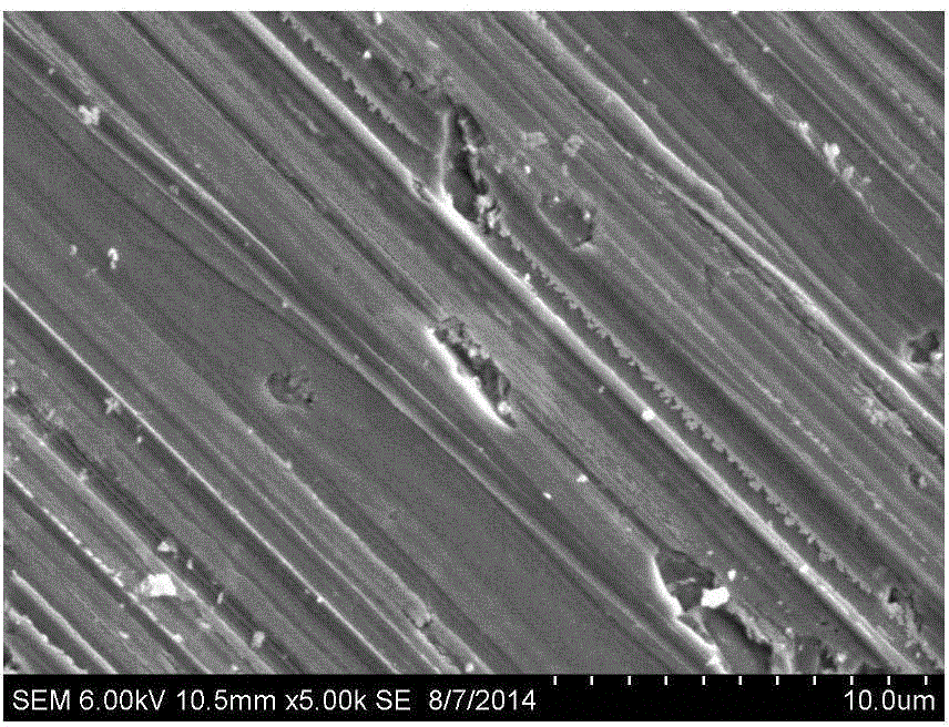 Texturing pretreatment liquid and texturing pretreatment method for diamond wire cutting polycrystalline silicon sheet, texturing pretreatment silicon sheet and application of texturing pretreatment silicon sheet