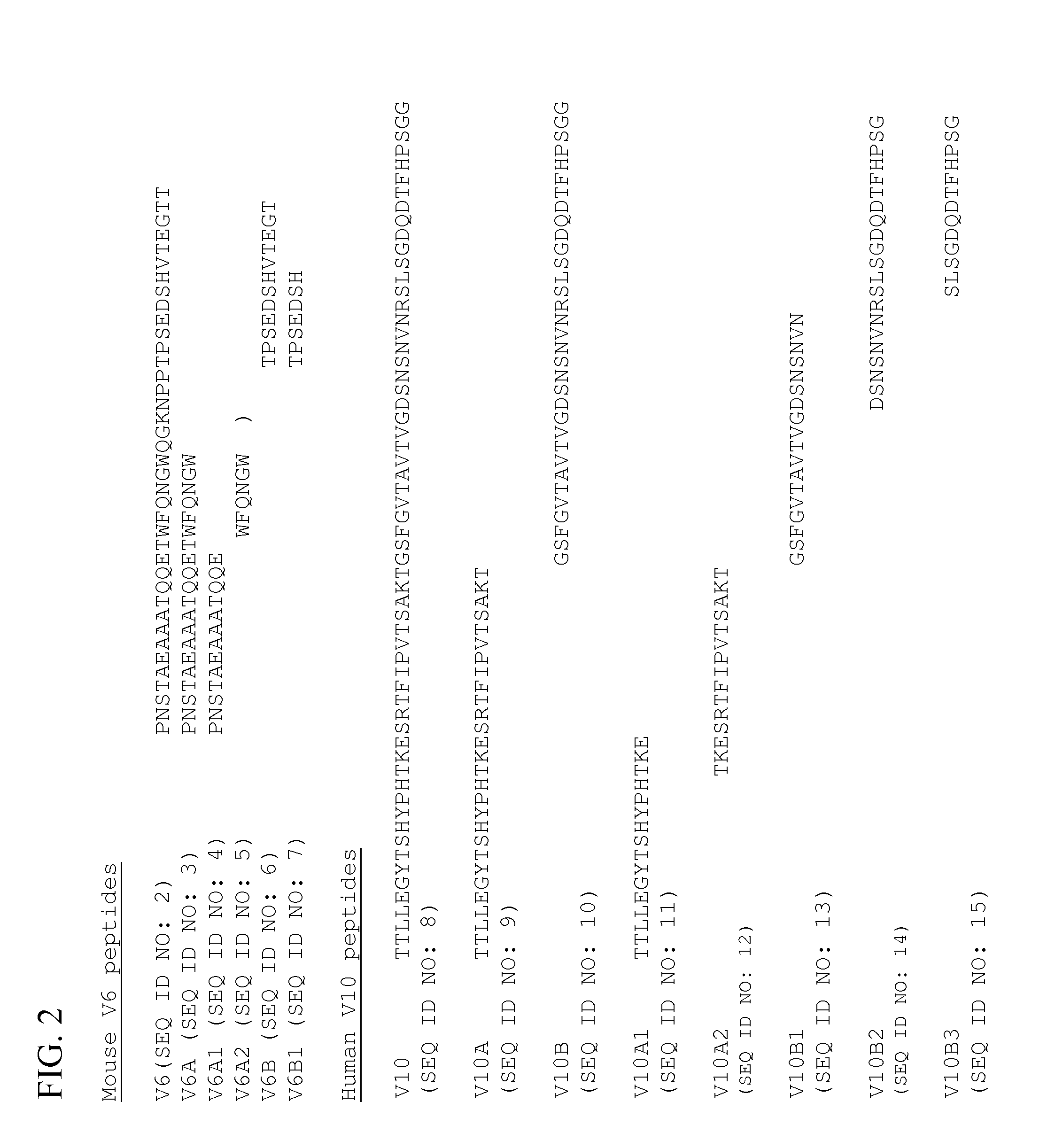 Neuroprotective peptides