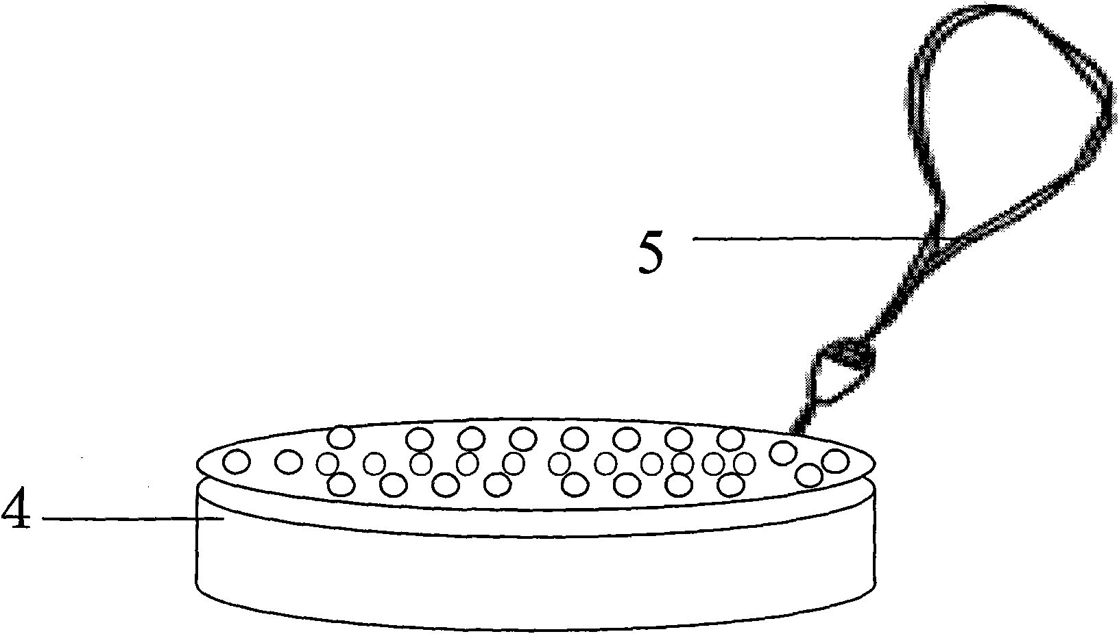 Mesogastrium treatment device