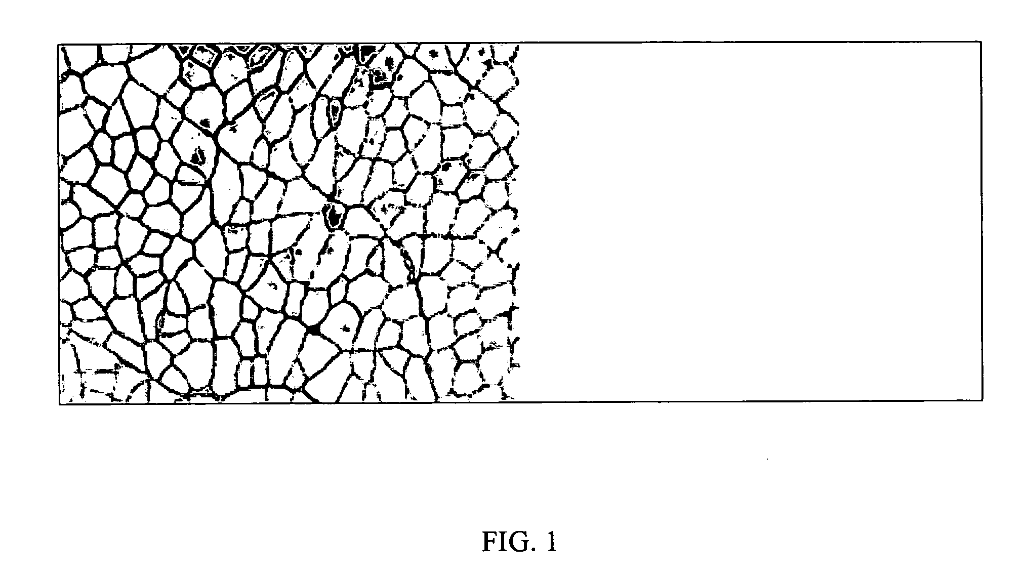 Methods for genetic immunization