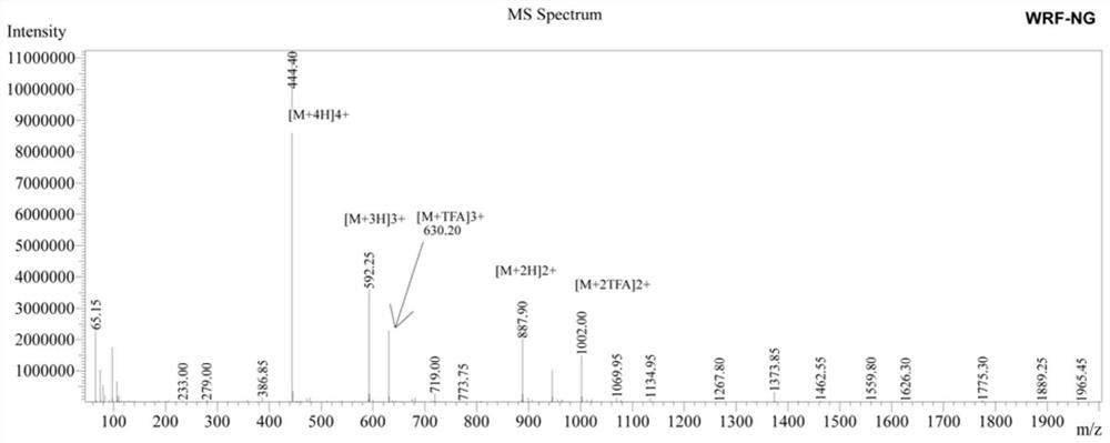 β hairpin antimicrobial peptide containing asparagine and glycine turn angle and preparation method thereof