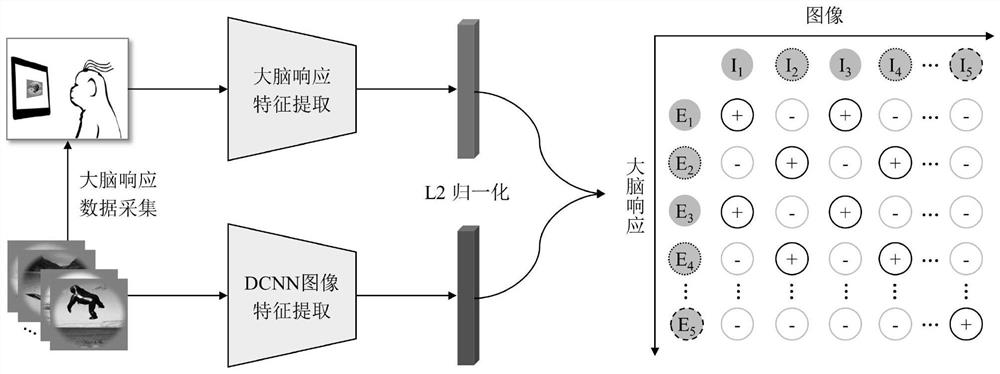 Brain-computer information fusion classification method and system for shared subspace learning