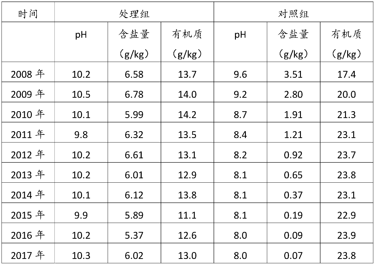 Improver in allusion to soda saline-alkaline dry land soil and preparation method thereof