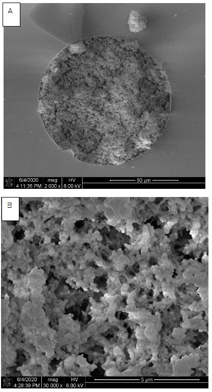 Preparation method and application of polar bridging cyclodextrin chiral monolithic column