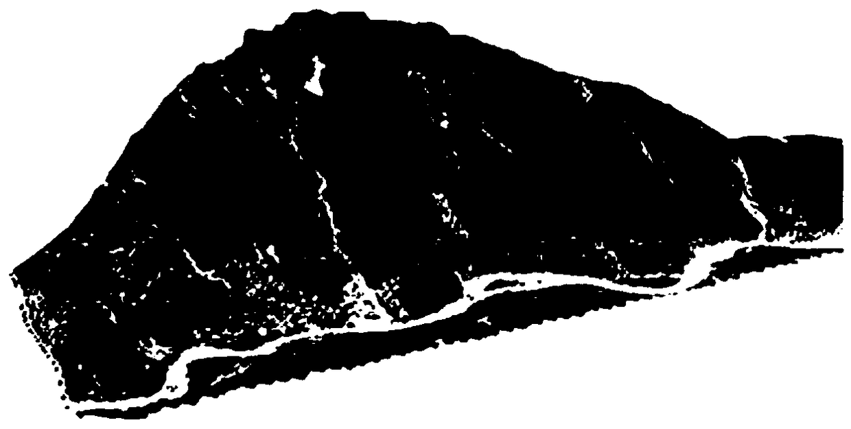 "Multi-rule integration into one" region space planning data GIS-gravitational field analysis model