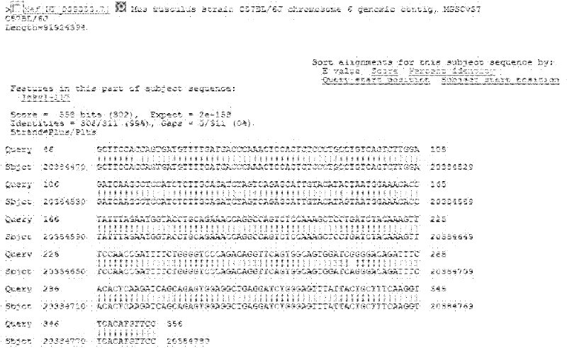 AEG-1 (Astrocyte Elevated Gene-1)/1E3 monoclonal antibody with high affinity