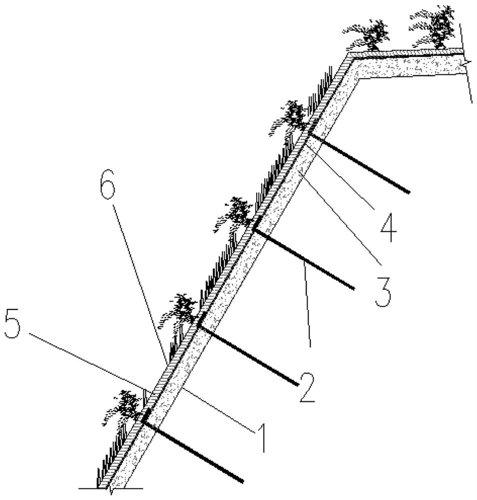 Method for promoting germination of cassia seeds in high and steep slope protection substrate