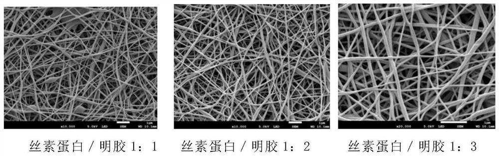 Composite nanofiber membrane containing periplaneta americana herb residue polysaccharide, and preparation method and application of composite nanofiber membrane